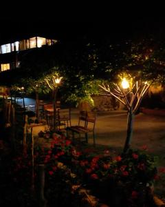 a group of chairs in a courtyard at night at Dana Trail Nomad Camp in Dana