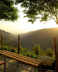a wooden bench with a view of a mountain at Dana Trail Nomad Camp in Dana +50 photos