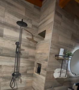 a shower in a bathroom with a wooden wall at Refugio Andino in Tupungato +13 photos