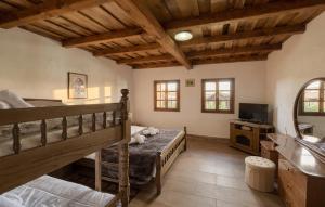 a bedroom with two bunk beds and a television at Stunning Home In Kutina With Sauna in Kutina