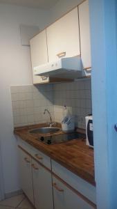 Η κουζίνα ή μικρή κουζίνα στο Holiday Apartment Zwinger
