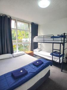 a bedroom with two bunk beds and a window at Park Beach Hotel Motel in Coffs Harbour