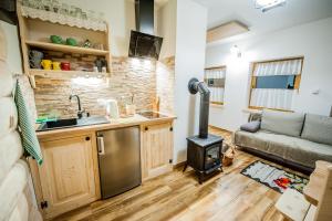 a kitchen and living room with a stove at Osada Stary Bór in Murzasichle