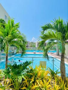 a view of a swimming pool with palm trees at Capriela Serena del Mar in Cartagena de Indias