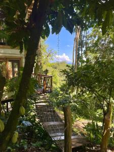 a stairway leading up to a house in a forest at Jungle Spirit Treehouse in Cahuita +45 photos
