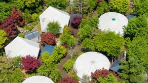 an aerial view of a garden with white domes at Gapyeong Pine4rest Glamping in Gapyeong +5 photos