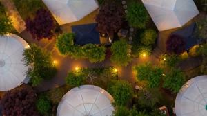an overhead view of a garden with umbrellas at Gapyeong Pine4rest Glamping in Gapyeong