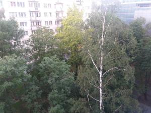 un groupe d'arbres devant un bâtiment dans l'établissement Warsaw Center - Apartment near Central Railway Station, à Varsovie