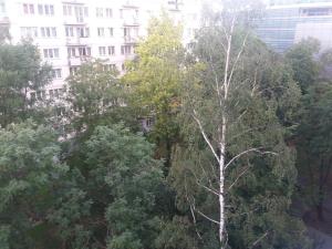 ワルシャワにあるWarsaw Center - Apartment near Central Railway Stationの建物前の木々