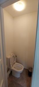 a bathroom with a toilet with a light on the ceiling at Gîte de Laulagne in Ribes +33 photos