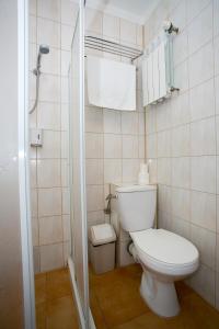 mała łazienka z toaletą i prysznicem w obiekcie Labirynt w mieście Łomża