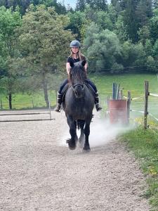 a woman riding a horse down a dirt road at Urige Waldbienenhütte in Diex +38 photos