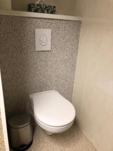 a bathroom with a white toilet and a trash can at Pension Erlerhof Chez Karin in Tulfes