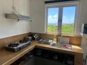 a kitchen with a stove and a sink and a window at Eagles Nest Residence - Apartment 2 in Rodrigues Island