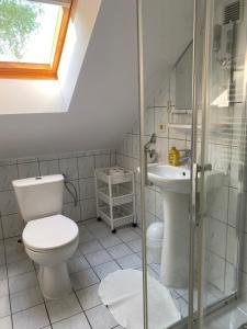 a bathroom with a toilet and a sink and a shower at Haus Panorama in Tylkowo +73 photos