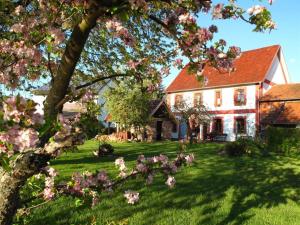 a house with a tree in a yard with pink flowers at Ferienhaus Altes Schifferhaus in Oedelsheim