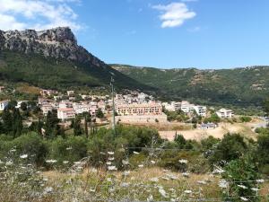 a town on a hill with a mountain in the background at Supramonte Urzulei in Urzulei