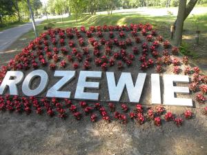 Ogród w obiekcie Pokoje Gościnne Standard