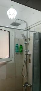 a bathroom with a shower and a window at Enki's Garden in Tirana +29 photos