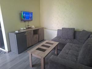 a living room with a couch and a tv at Star Zvartnots Hotel in Pʼarakʼar