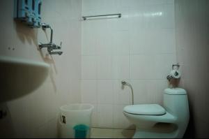 a small bathroom with a toilet and a sink at Jhumelo Homestay, Ukhimath in Ukhimath