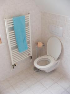 a bathroom with a toilet and a blue towel at Prázdninový dům Josefův Důl in Josefŭv Dŭl