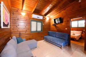 a living room with a couch and a tv at בינות התמרים- 3 צימרים מהממים עם בריכה וג'קוזי ספא! in Menaẖemya