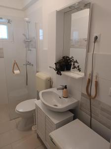 a bathroom with a sink and a toilet and a mirror at Apartments Biba & Lucy in Ražanac