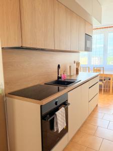 a kitchen with a sink and a stove at Home place in Louny