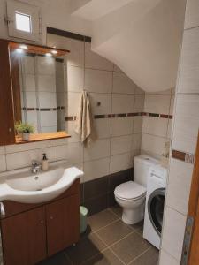 a bathroom with a toilet sink and a washing machine at Eva Maisonette in Iraklitsa +9 photos