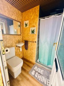a bathroom with a toilet and a sink and a shower at Maesbury Meadows in Binegar