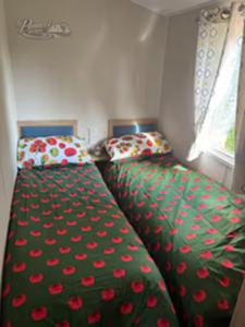 two beds in a small room with red flowers at Panacci Van - Weymouth Bay in Preston