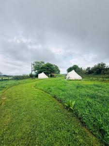 two tents in the middle of a grass field at Maesbury Meadows in Binegar +20 photos