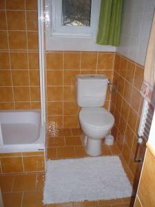 a small bathroom with a toilet and a shower at Mladé Buky 261 in Mladé Buky