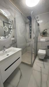 a bathroom with a shower and a sink and a toilet at Das gemütliche Unterkunft in Gelsenkirchen +6 photos