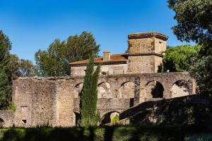 an old castle with a tower on top of it at Balcon sur les vignes - Loft de charme 2 pers in Cournanel