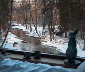 a window with a cat statue looking out at a river at refleXions in Kabakelis