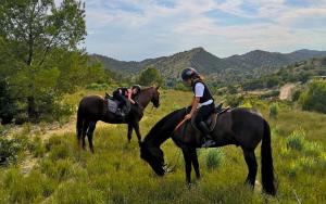 a woman riding on a horse in a field at Casa Mathilda in Fornes