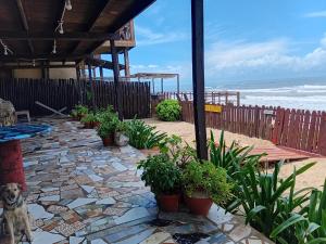 a dog sitting on a patio near the beach at Adinam's Beach Retreat in Nyanyanu
