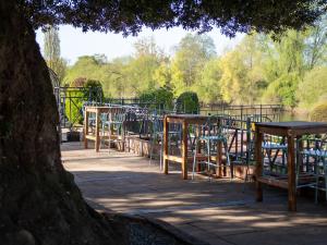 a group of tables and chairs sitting under a tree at Diglis House Hotel in Worcester
