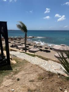 a beach with umbrellas and a palm tree and the ocean at Coralli Beachfront in Pefki