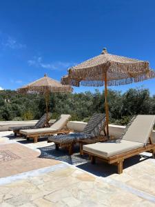 a group of lounge chairs and umbrellas on a patio at Villa Delphini in Argyrátika