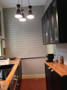 uma cozinha com armários pretos e uma bancada em Appartement Maison Aubanel em Avignon