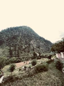 a mountain with trees on the side of it at Rayn Basayra Kashmir in Bāta