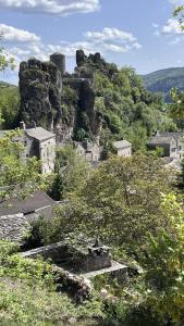 a group of houses on a hill with a castle at Gîte du Riou Sec in La Roque-Sainte-Marguerite