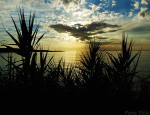 una puesta de sol sobre un cuerpo de agua con plantas en Panorama Anastasia Sun Apartments en Povljana