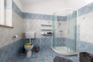 a bathroom with a toilet and a shower at Apartman Mely in Nova Vas +22 photos