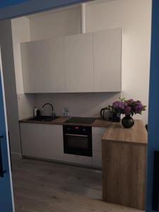 a kitchen with white cabinets and a black oven at apartament centrum-rynek Gorzów in Gorzów Wielkopolski