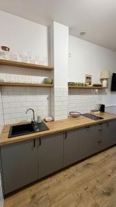 a kitchen with a sink and a counter at Apartament Wichrowy in Rowy