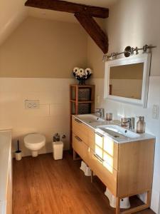 a bathroom with a sink and a toilet at Charlottenhof in Wangels +60 photos